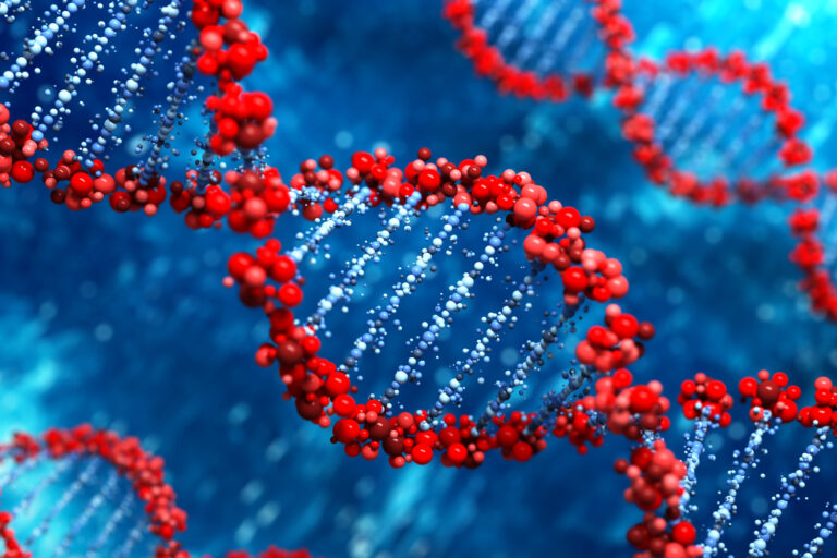 الكشف عن الحمض النووي من دم الأم